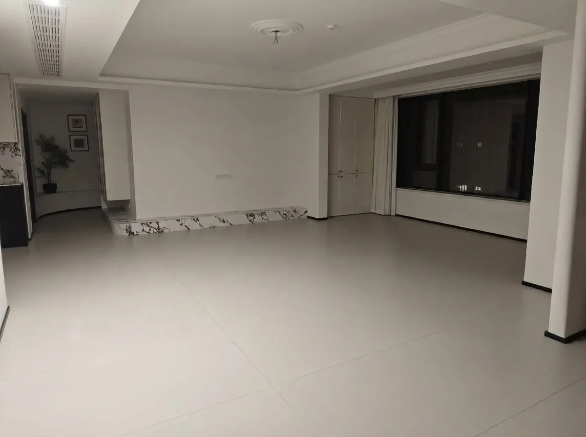 室内家具杂物去除